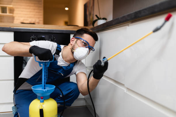Best Exterminator Services  in Stafford Springs, CT