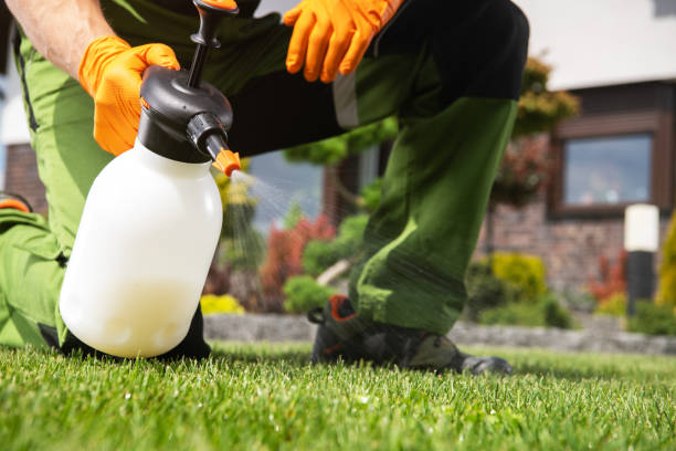 Best Best Pest Control Companies  in Stafford Springs, CT