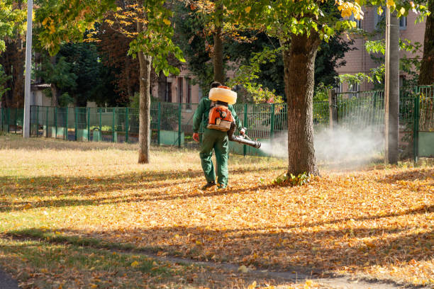 Professional Pest Control in Stafford Springs, CT