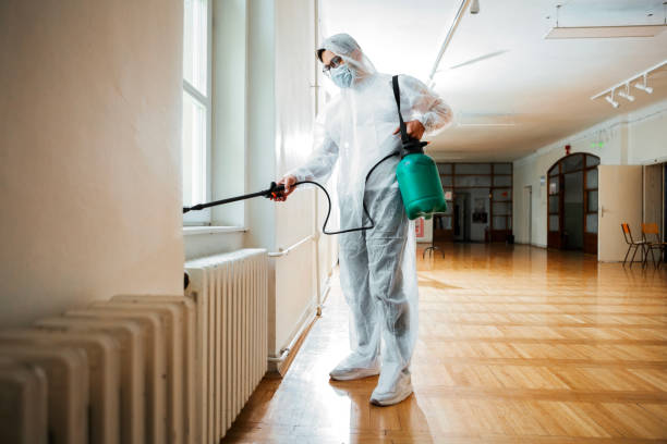 Best Pest Inspection Near Me  in Stafford Springs, CT