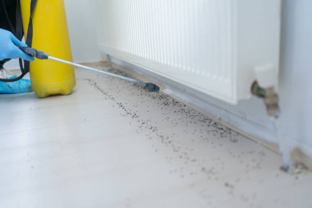 Best Pest Removal Services  in Stafford Springs, CT